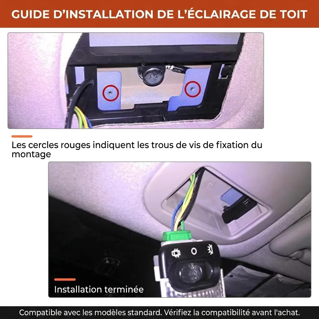 Plafonnier de lecture compatible avec Peugeot 206, 207 et Citroen C2 remplacement pièce origine